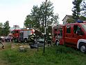 Zielna 2013_2_43